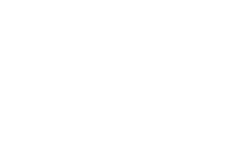 ALTITUDE ECONOMY